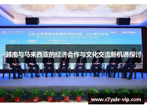 越南与马来西亚的经济合作与文化交流新机遇探讨